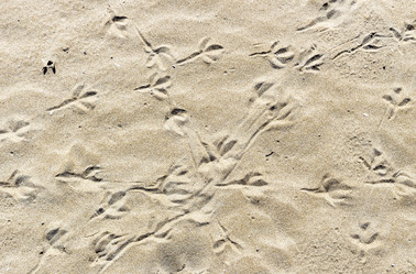 Similar image 12226948