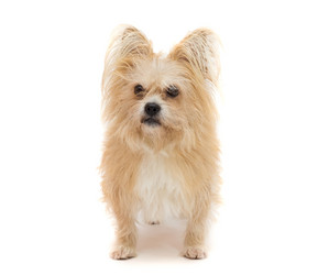 Similar image 12227108