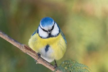 Similar image 12227112