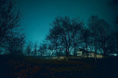 Similar image 12226667