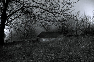 Similar image 12226679