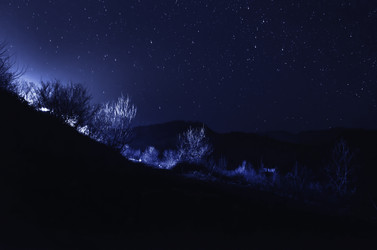 Similar image 12226700