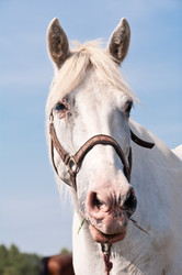 Similar image 12250389