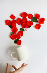 Similar image 12250352