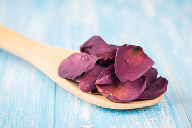 Similar image 12250354