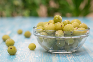 Similar image 12250355