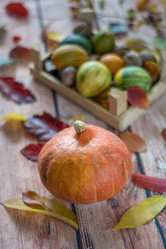 Similar image 12254395