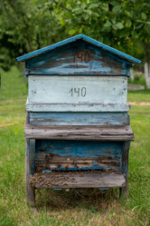 Similar image 12254416