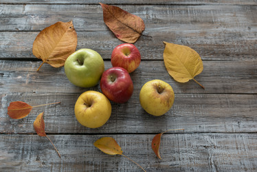 Similar image 12254433