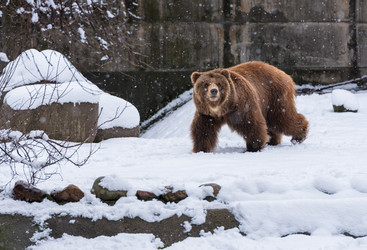 Similar image 12254341