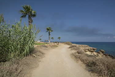 Similar image 12254399