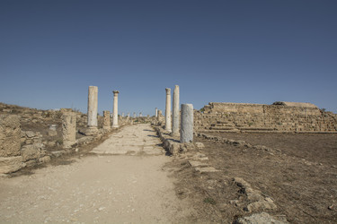 Similar image 12254403