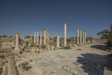 Similar image 12254405