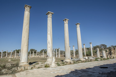 Similar image 12254407