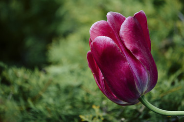 Similar image 12253582