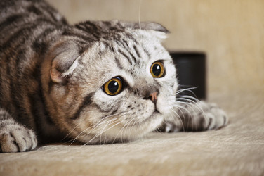 Similar image 12253583