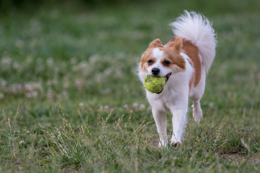 Similar image 12254346