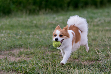 Similar image 12254347