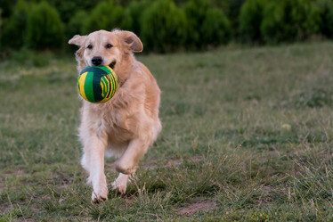 Similar image 12254351