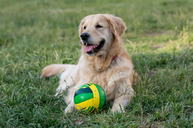 Similar image 12254352