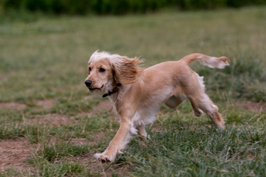 Similar image 12254357