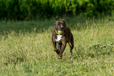 Similar image 12254360