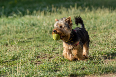 Similar image 12254362