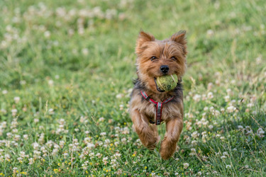 Similar image 12254363