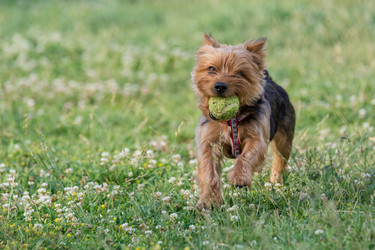 Similar image 12254364