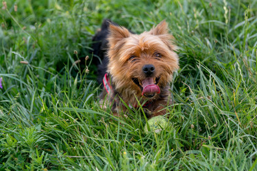 Similar image 12254365