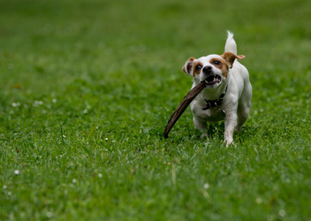 Similar image 12254391