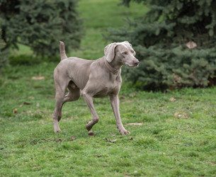 Similar image 12254500