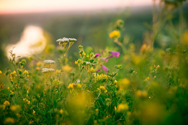 Similar image 12253171