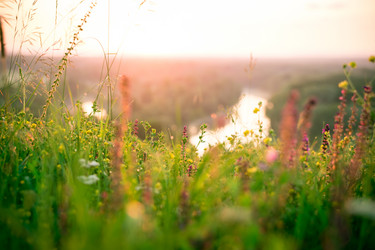 Similar image 12253183