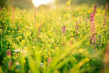 Similar image 12253185