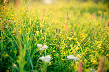 Similar image 12253186