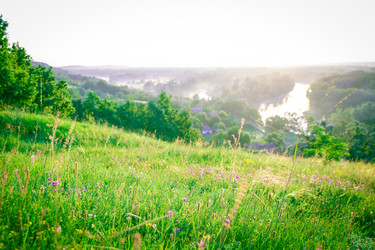 Similar image 12253187