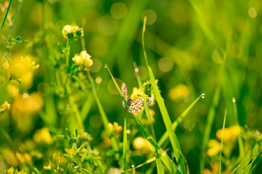 Similar image 12253188