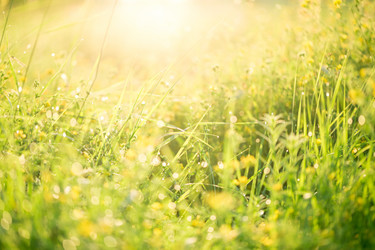 Similar image 12253190