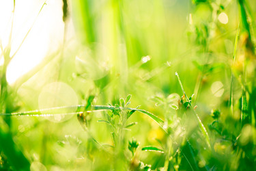 Similar image 12253191