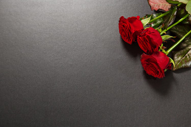 Similar image 12253212