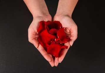 Similar image 12253215