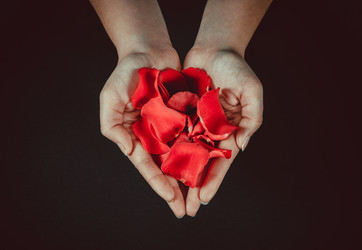 Similar image 12253216