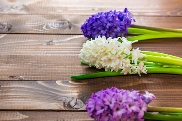 Similar image 12253235