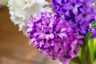 Similar image 12253237