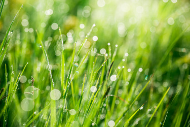 Similar image 12253240