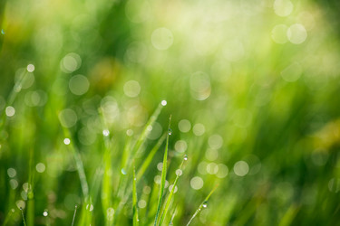 Similar image 12253241