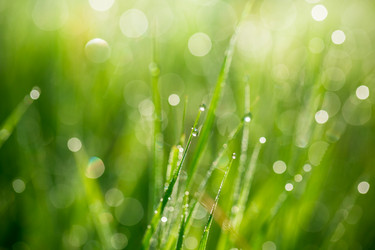 Similar image 12253242