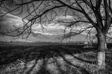 Similar image 12348098