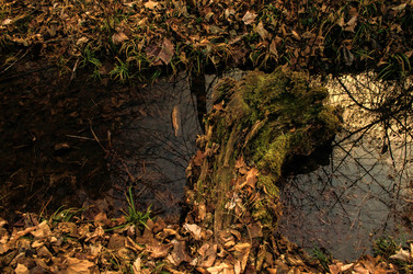 Similar image 12348100